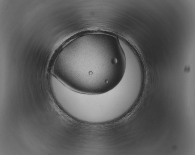 X0000110700876200906261405