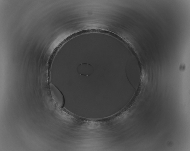 X0000110700877200906261405