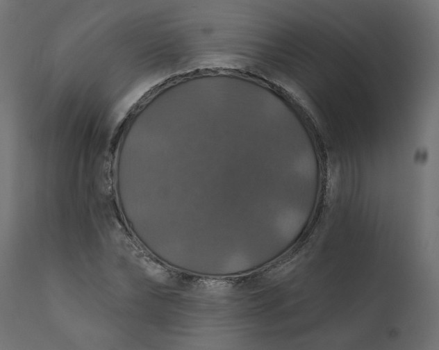 X0000110700878200906261405