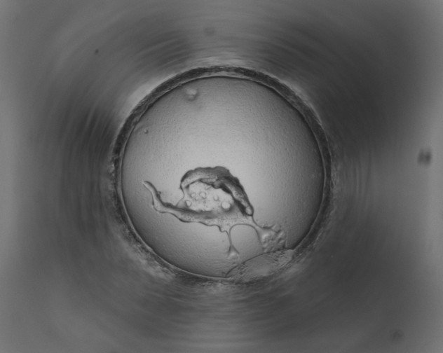 X0000110700879200906261405