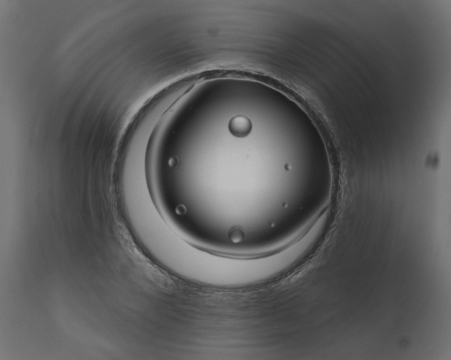 X0000110700880200906261405