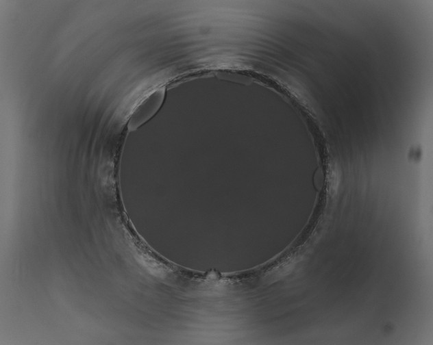 X0000110700881200906261405