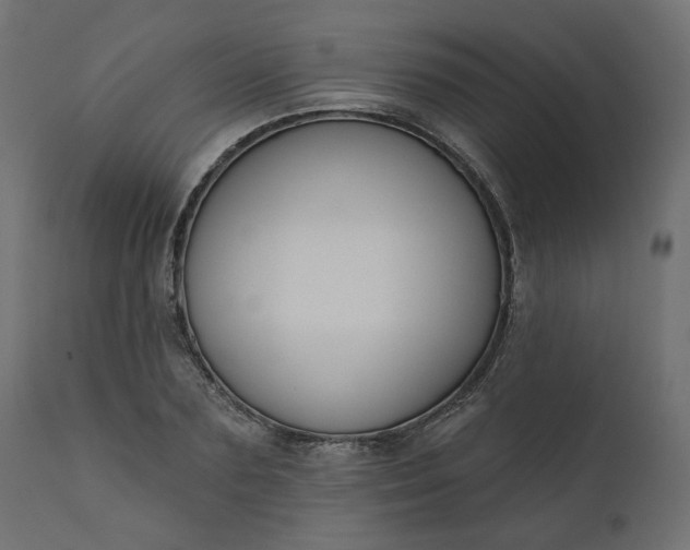 X0000110700883200906261405