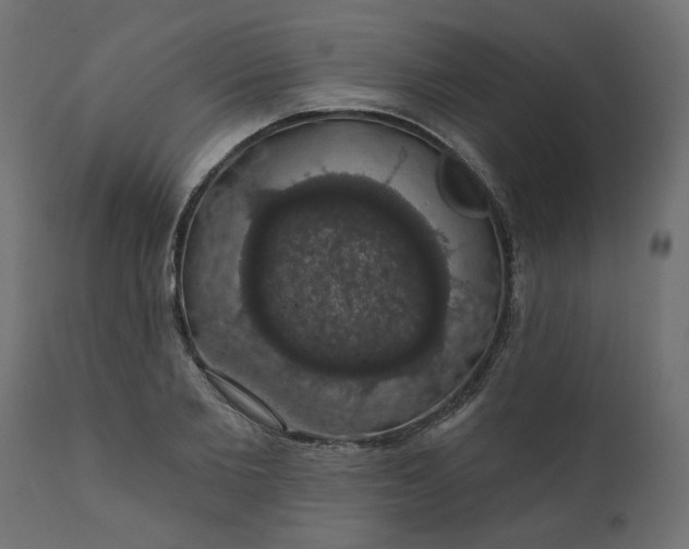 X0000110700885200906261405