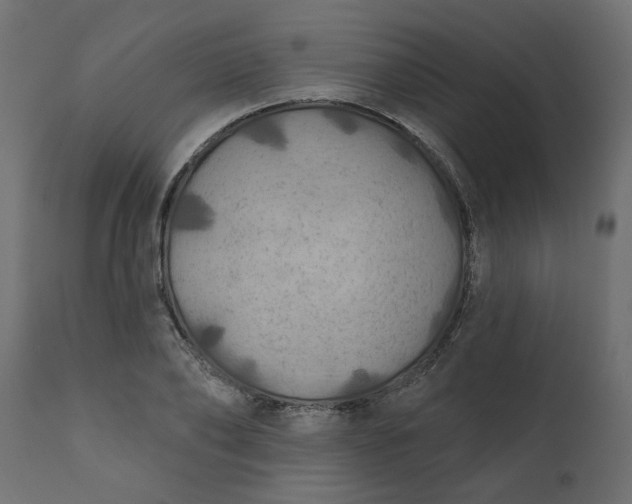 X0000110700886200906261405