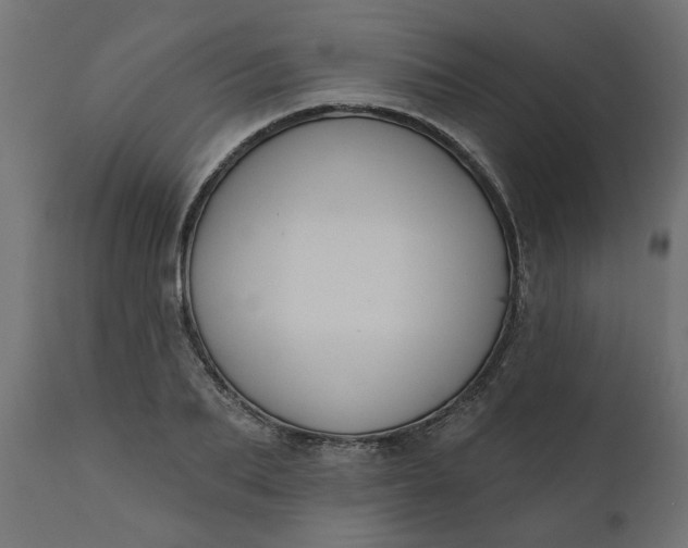 X0000110700887200906261405