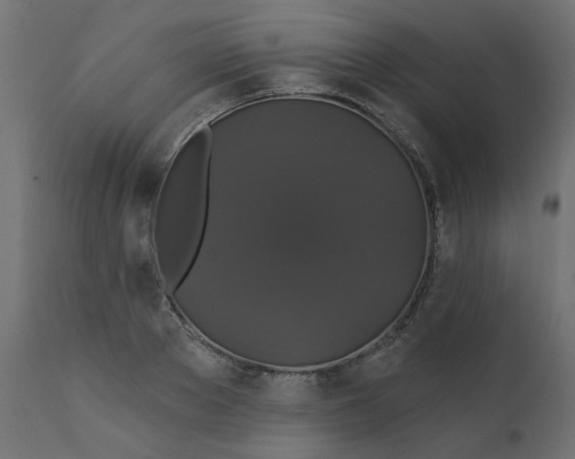 X0000110700889200906261405