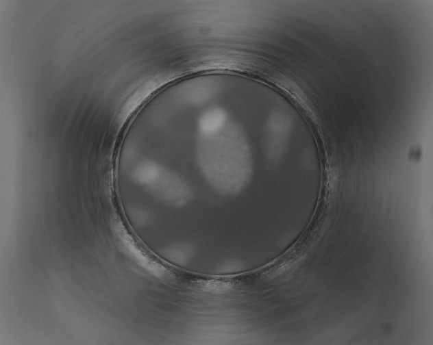 X0000110700890200906261405