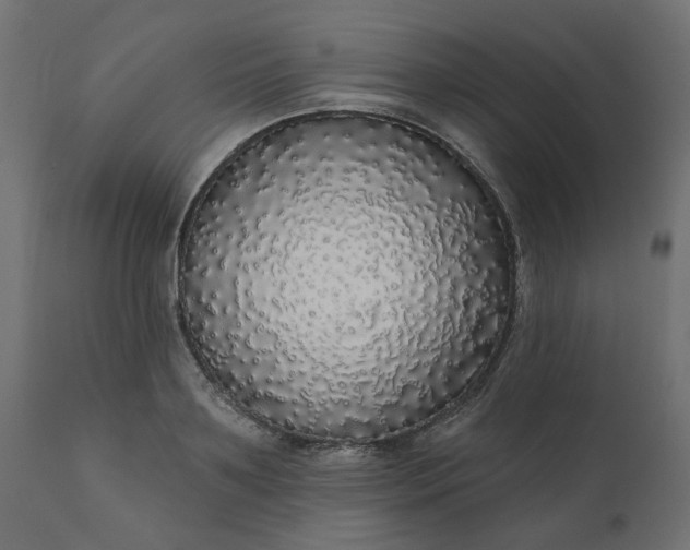 X0000110700891200906261405