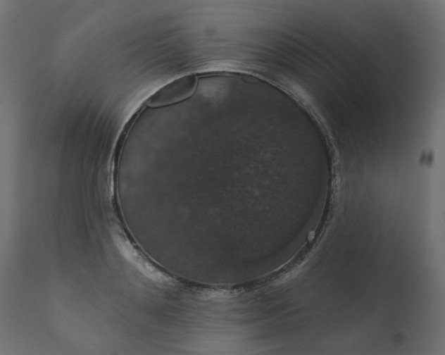 X0000110700892200906261405