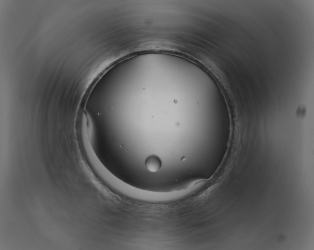 X0000110700893200906261405