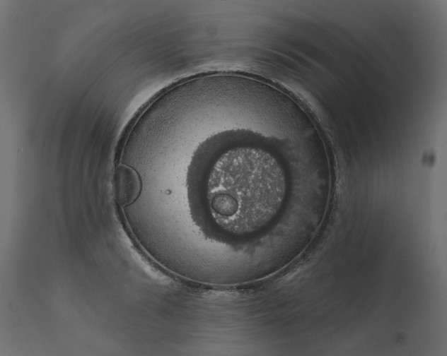 X0000110700894200906261405