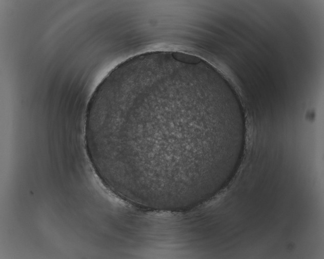 X0000110700896200906261405