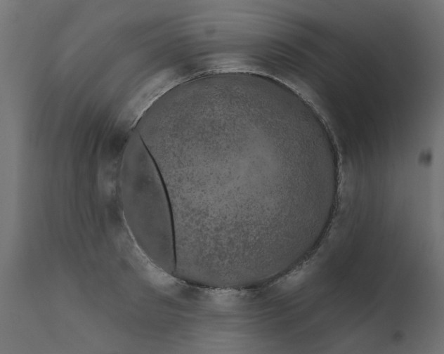 X0000110700897200906261405