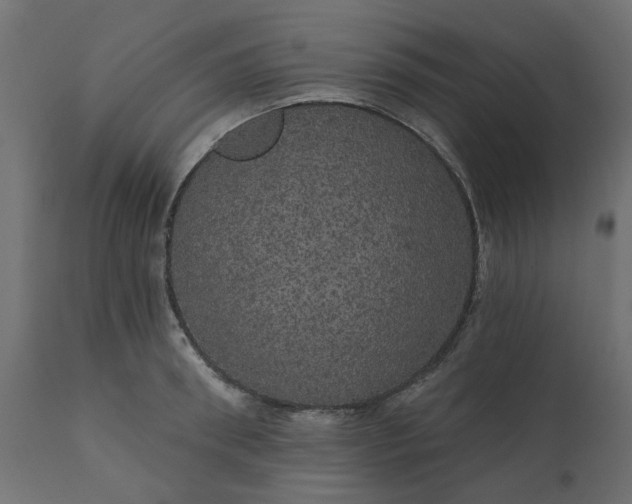 X0000110700898200906261405