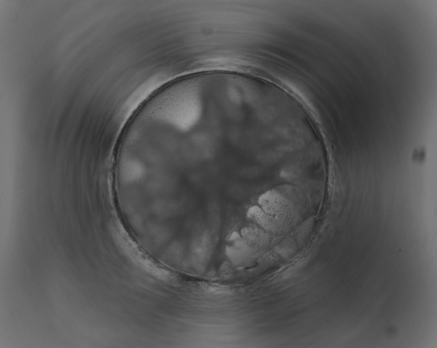 X0000110700899200906261405