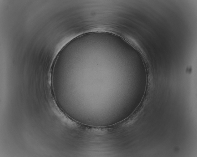 X0000110700900200906261405