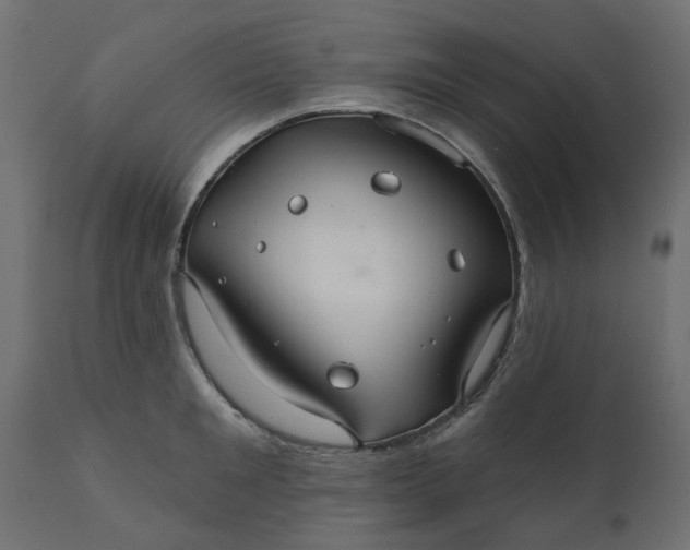 X0000110700901200906261405