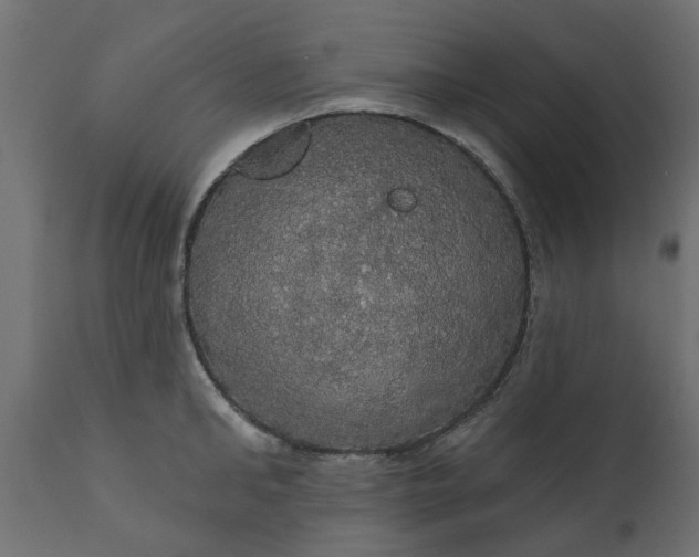 X0000110700902200906261405