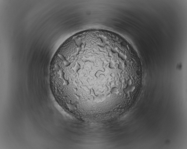 X0000110700903200906261405