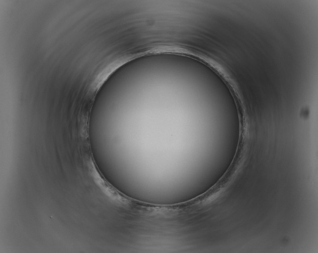 X0000110700905200906261405