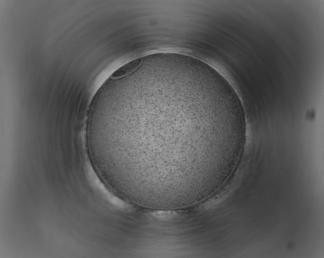 X0000110700906200906261405