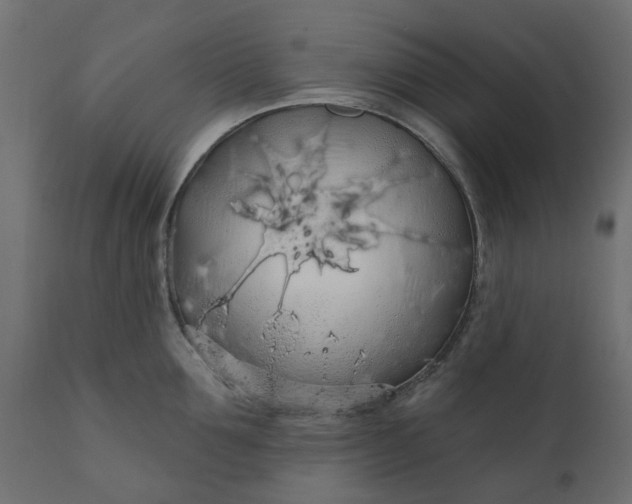 X0000110700907200906261405