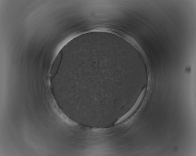 X0000110700908200906261405