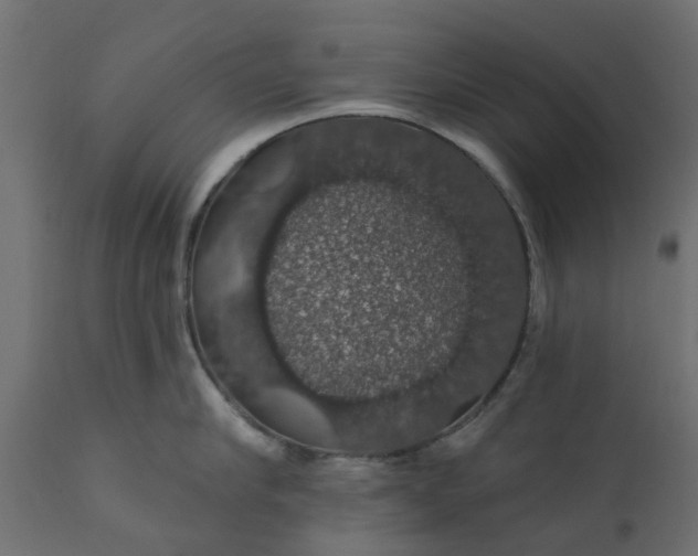 X0000110700910200906261405