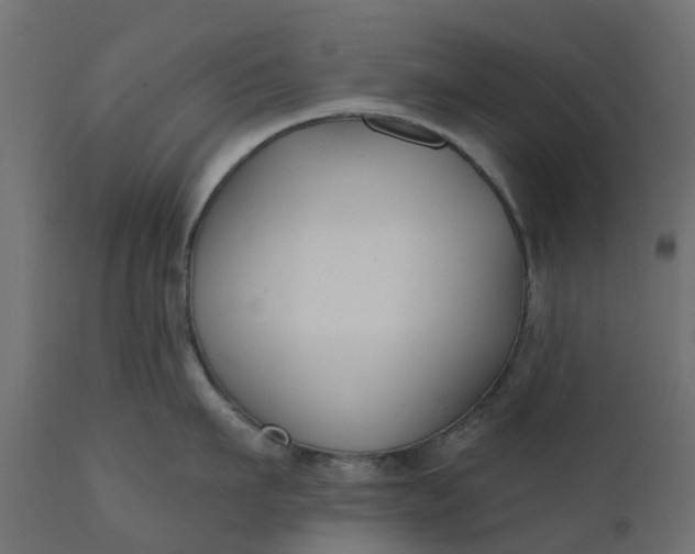 X0000110700911200906261404