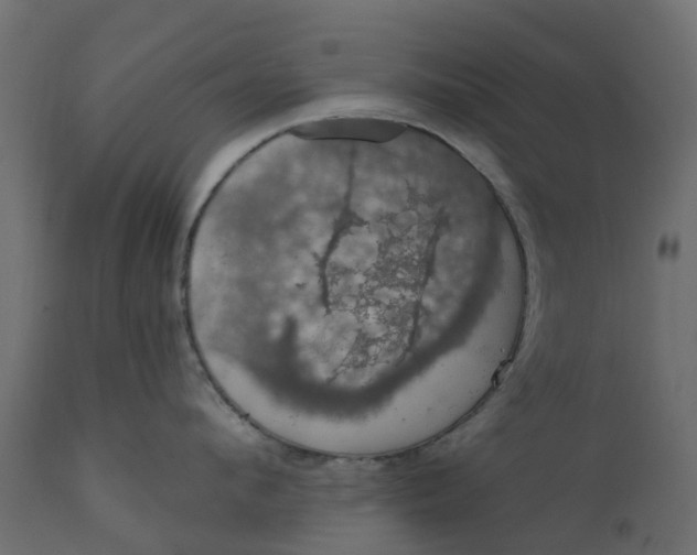 X0000110700912200906261404