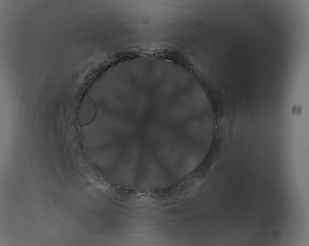 X0000110700913200906261404