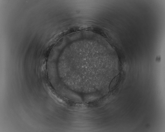 X0000110700914200906261404