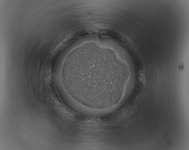 X0000110700915200906261404