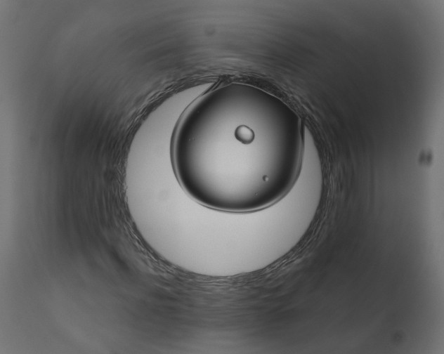 X0000110700916200906261404