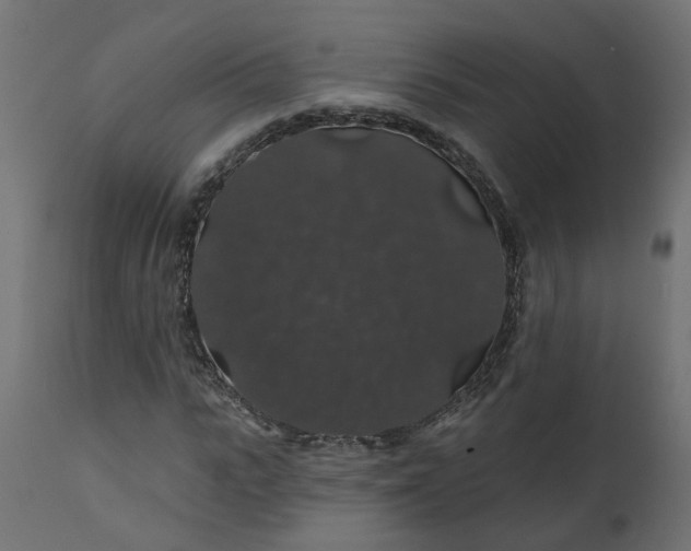 X0000110700919200906261404