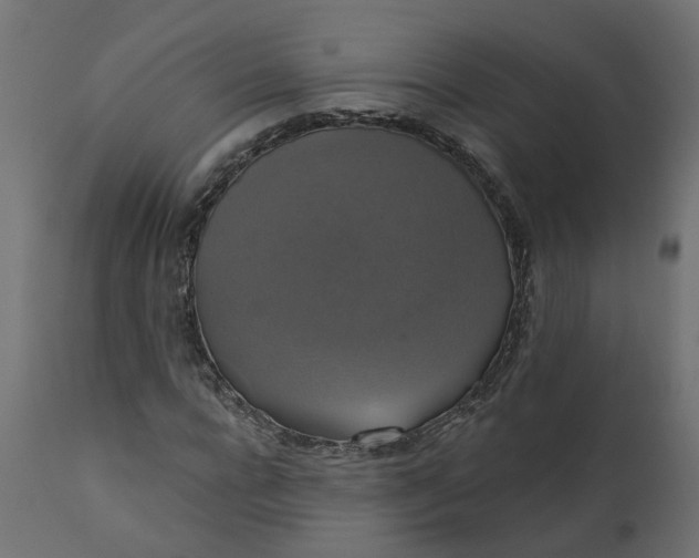 X0000110700920200906261404