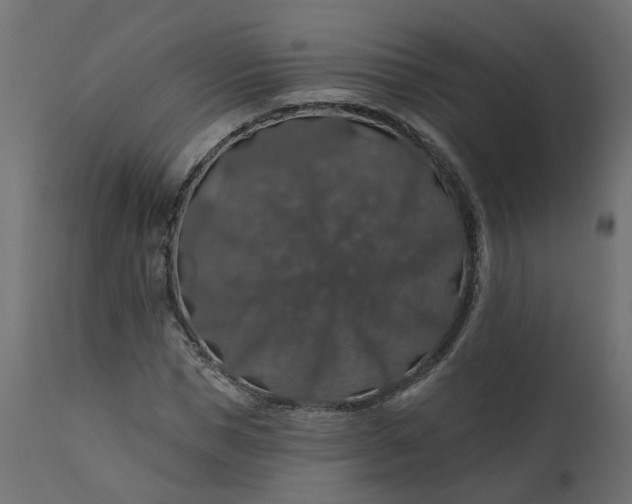 X0000110700921200906261404