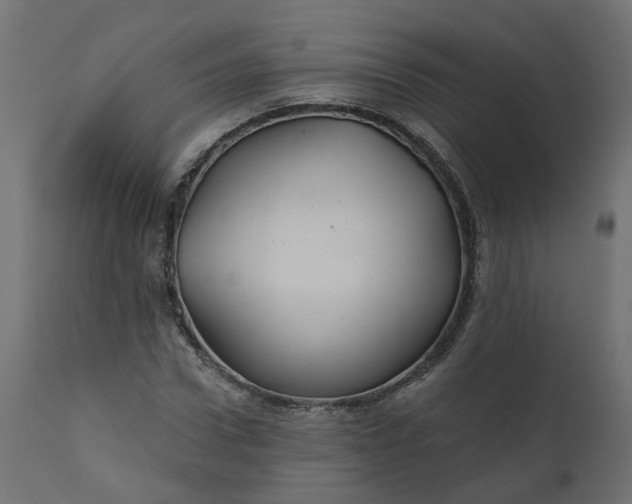 X0000110700922200906261404