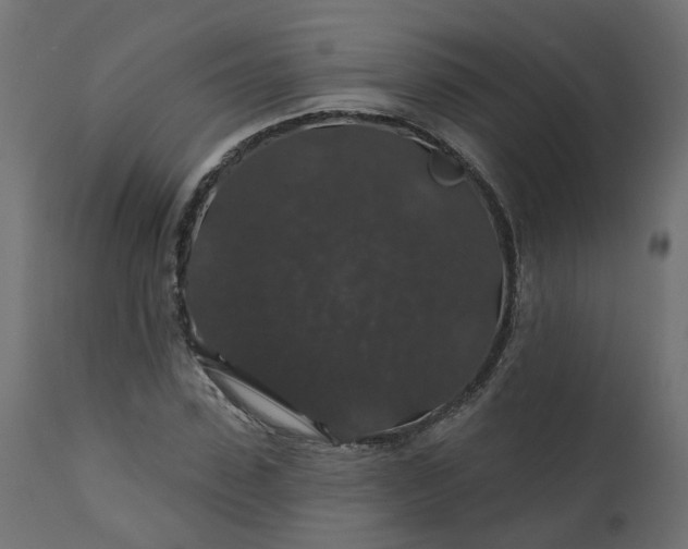 X0000110700923200906261404