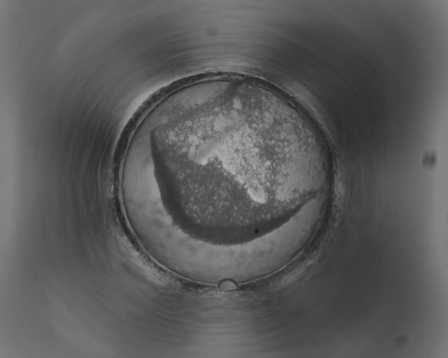 X0000110700924200906261404