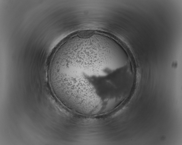 X0000110700925200906261404