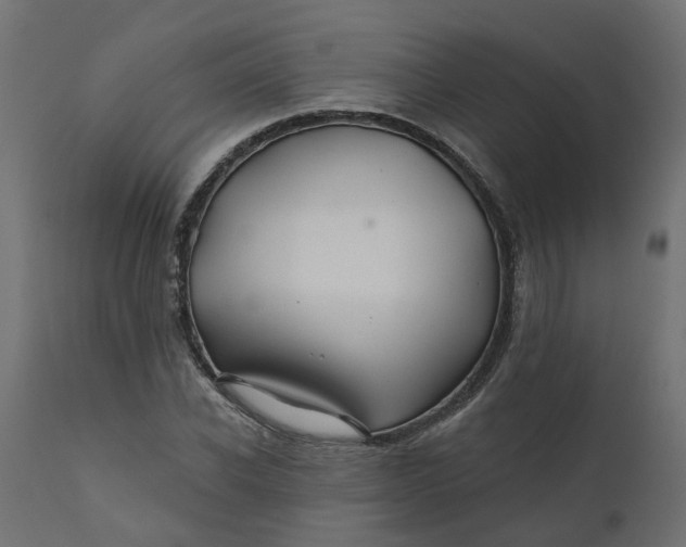 X0000110700926200906261404