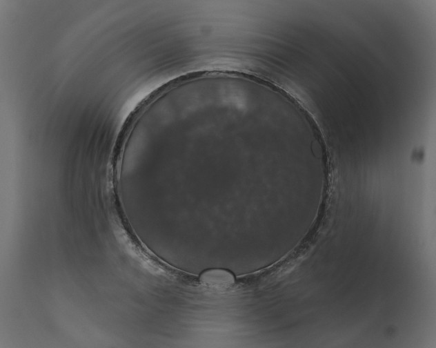 X0000110700928200906261404