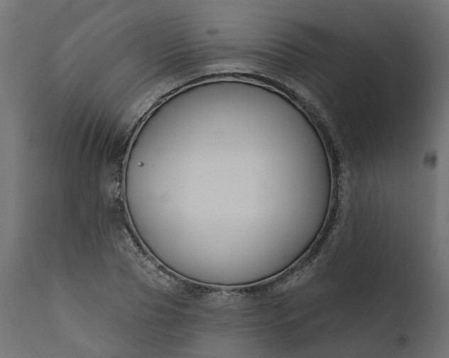 X0000110700929200906261404