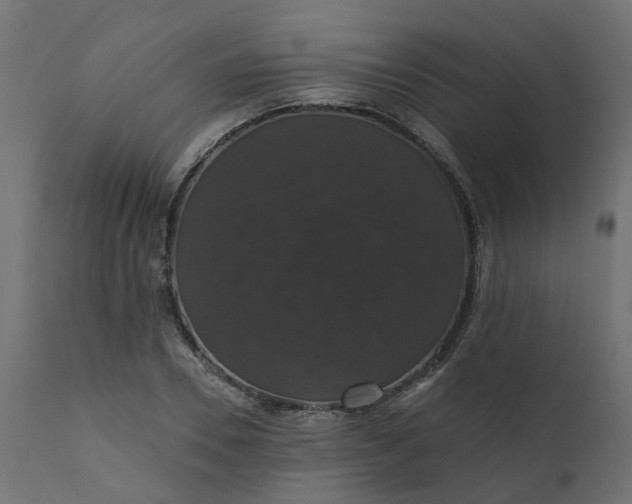 X0000110700930200906261404