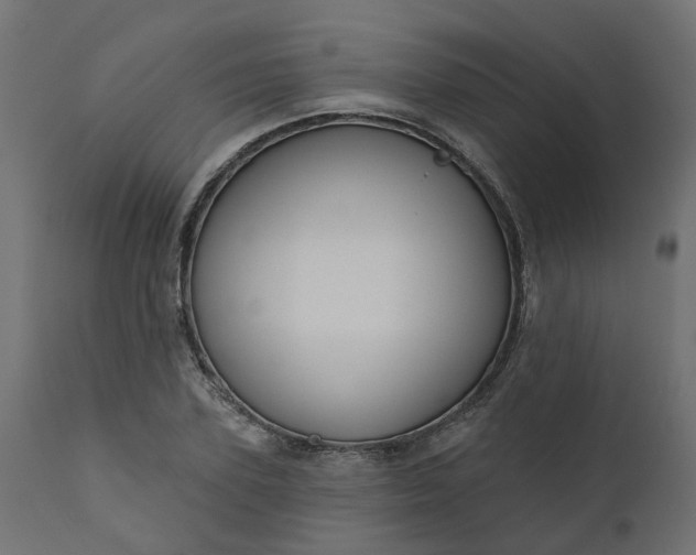 X0000110700931200906261404