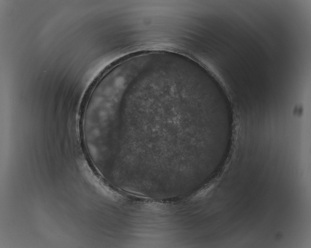 X0000110700932200906261404