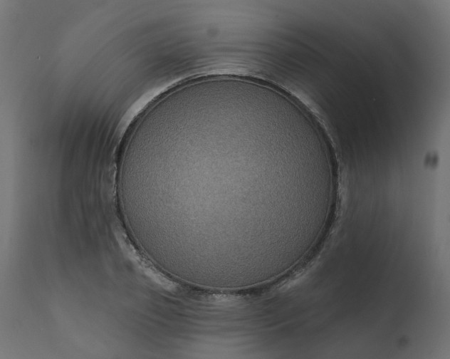 X0000110700933200906261404