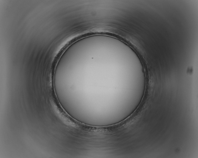 X0000110700934200906261404